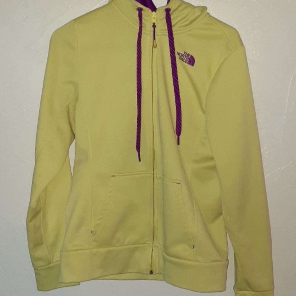 The north face hoodie
